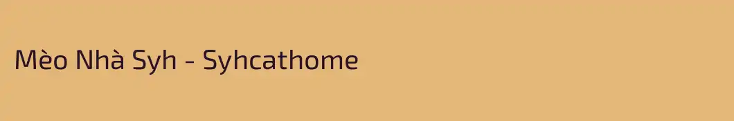 Mèo Nhà Syh - Syhcathome